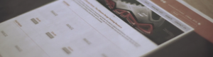 screenshot of render demo website development