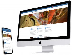 Kenexis website shown on desktop and mobile screens