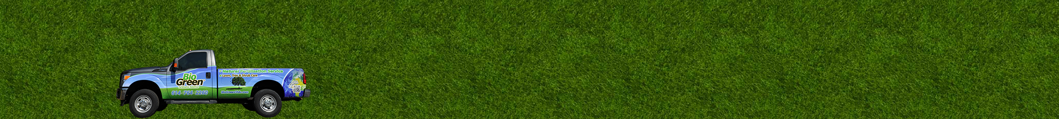 Image of grass background