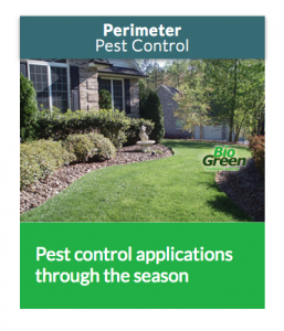 Screenshot of Perimeter Pest Control service card