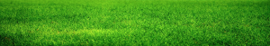 Screenshot of Grassy background